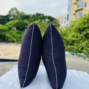২ টি শিমুল তুলার মাথার বালিশ